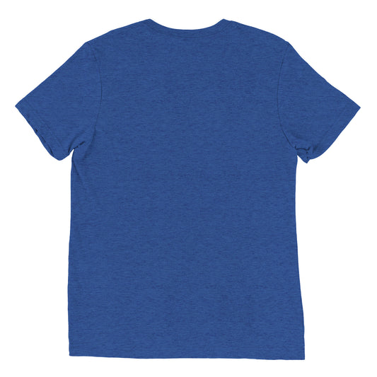 The back view of a men's festival graphic t-shirt in blue from Wizard Prints Shop