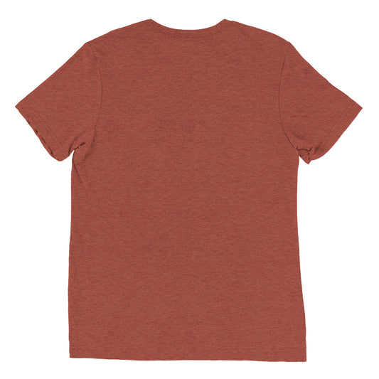 The back view of a men's festival graphic t-shirt in brown from Wizard Prints Shop