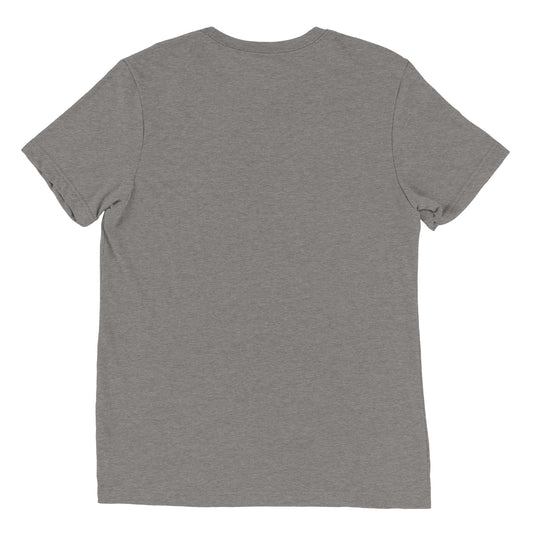 The back view of a women's festival graphic t-shirt in grey from Wizard Prints Shop