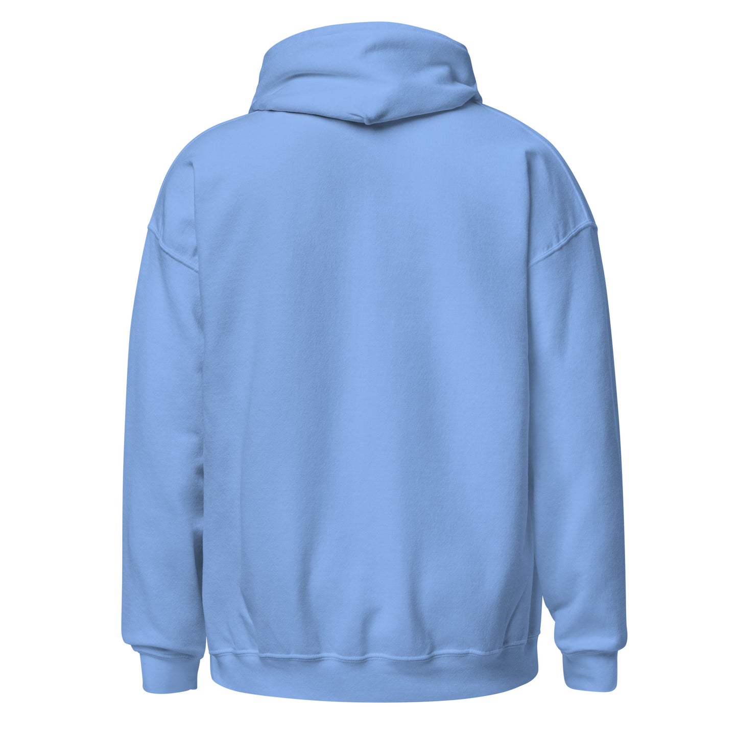 Back view of a women's light blue hoodie by Wizard Prints Shop