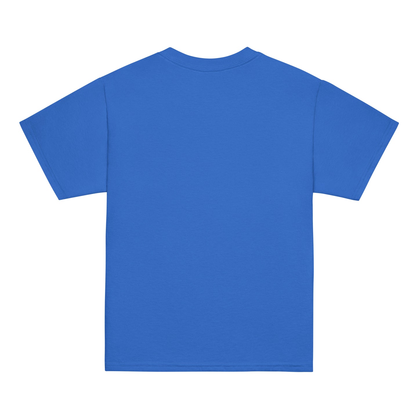 Back view of a kids' blue t-shirt by Wizard Prints Shop
