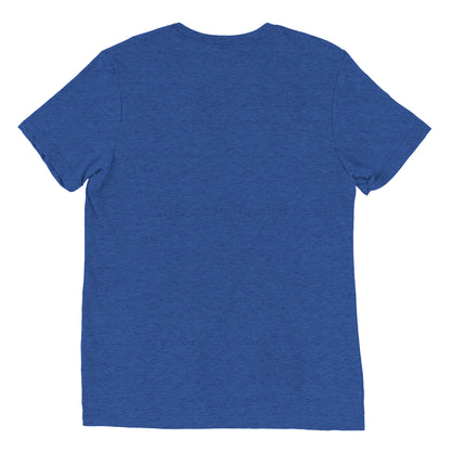 The back view of a men's festival graphic t-shirt in blue from Wizard Prints Shop