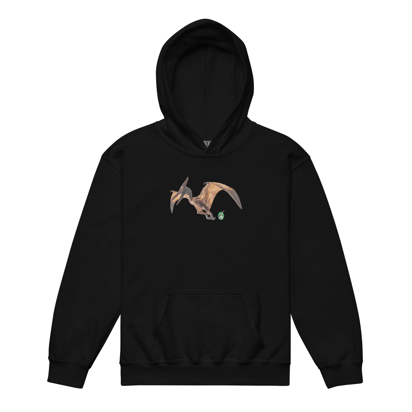 A Wizard Prints kids hoodie in black with a printed graphic on the front of life like dinosaur