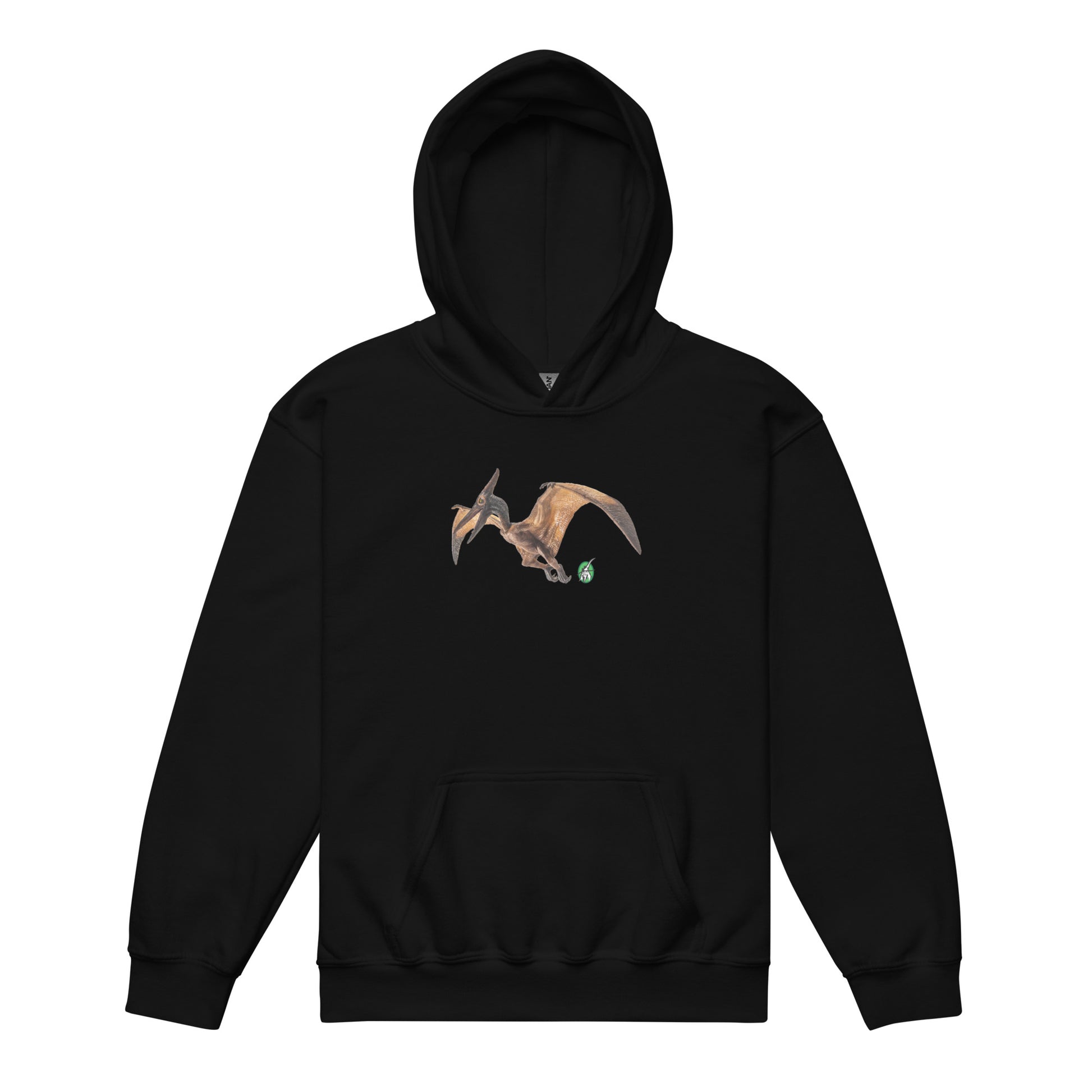 A Wizard Prints kids hoodie in black with a printed graphic on the front of life like dinosaur