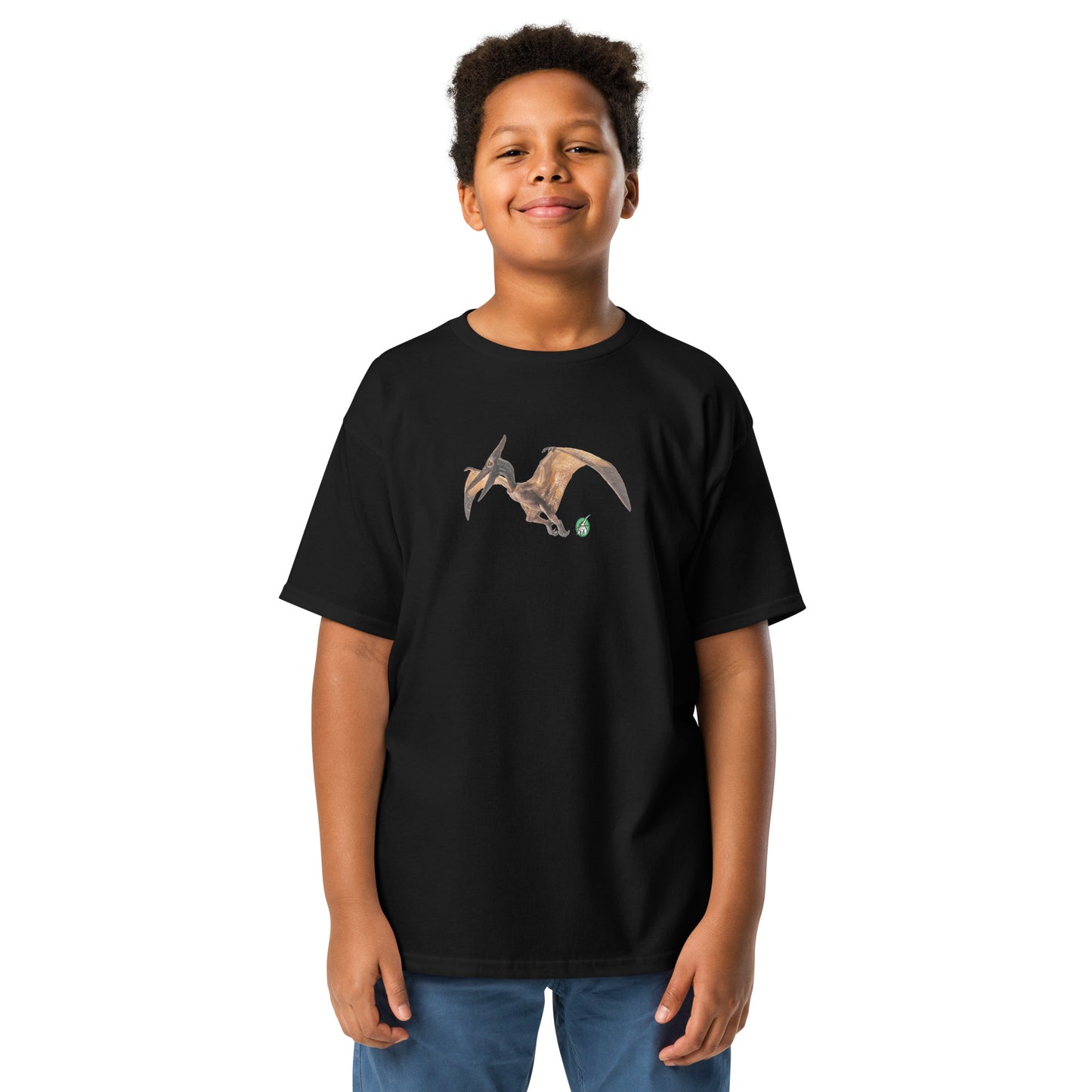 A boy standing wearing a Wizard Prints kids t-shirt in black colour with a printed graphic on the front of a dinosaur 