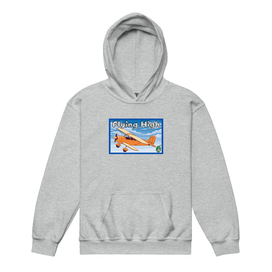 A Wizard Prints kids hoodie in grey with a printed graphic on the front of plane with the words flying high
