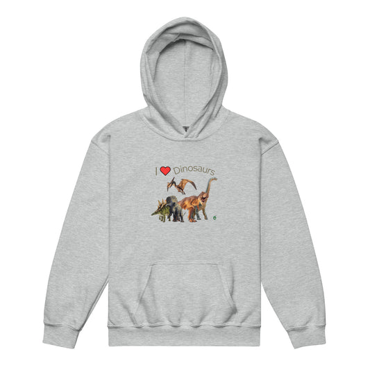 A Wizard Prints kids hoodie in grey with a printed graphic on the front of a group of life like dinosaurs with the words, I love dinosaurs