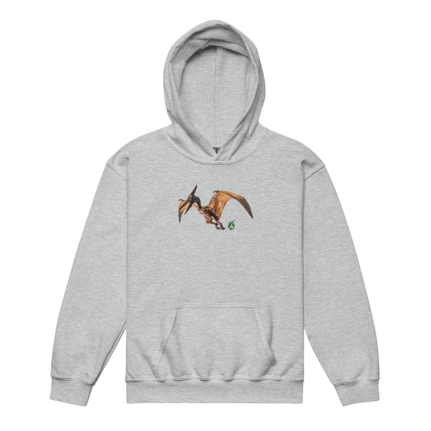 A Wizard Prints kids hoodie in grey with a printed graphic on the front of life like dinosaur