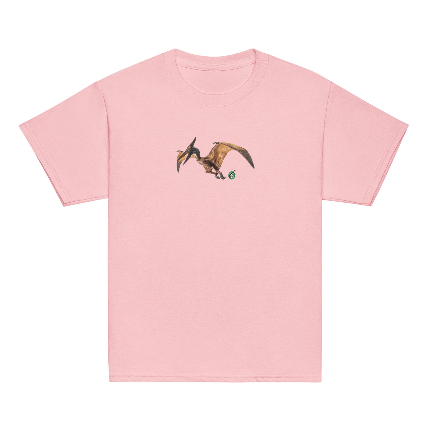 A Wizard Prints kids t-shirt in pink colour with a printed graphic on the front of a dinosaur 