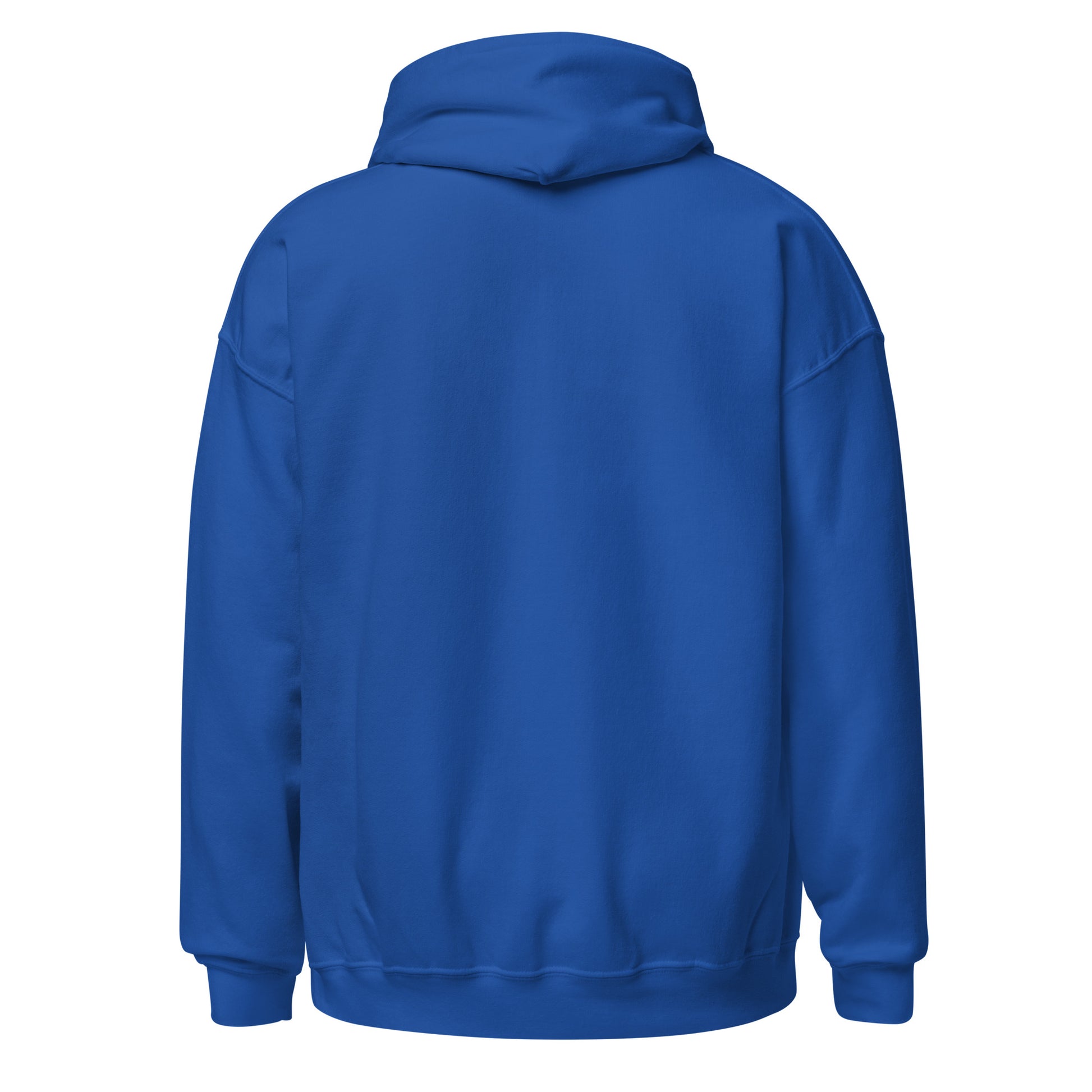 Back view of a men's blue hoodie by Wizard Prints Shop