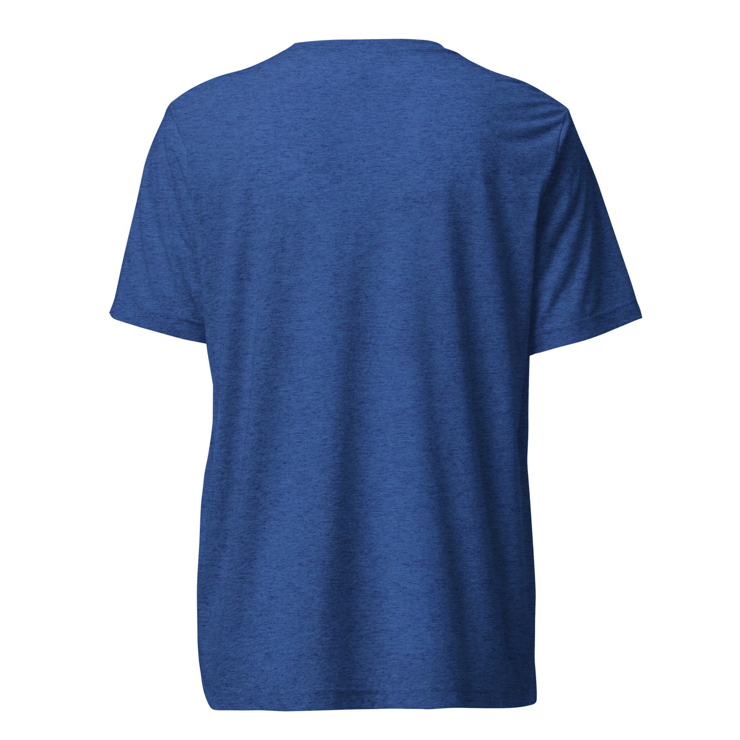 Back view of a men's blue t-shirt by Wizard Prints Shop