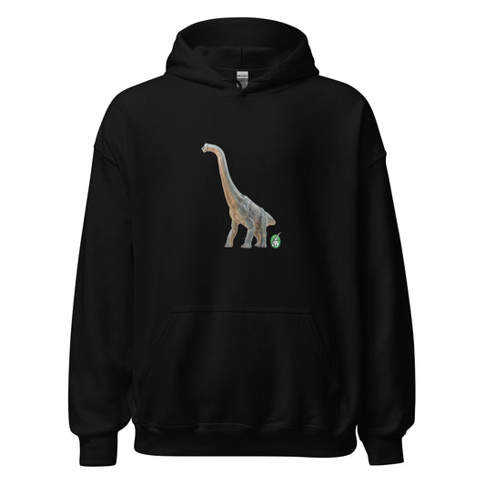 Men's black hoodie with a printed graphic of a life like dinosaur, designed by Wizard Prints