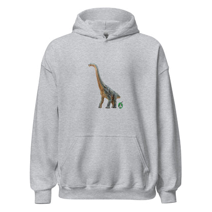 Men's grey hoodie with a printed graphic of a life like dinosaur, designed by Wizard Prints