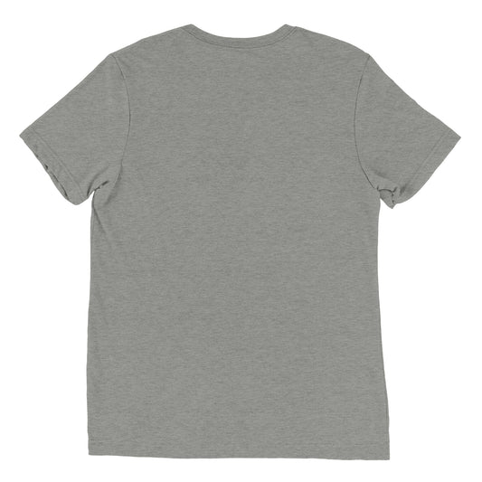 A Wizard Prints men's graphic rebel t-shirt in grey - plain back view