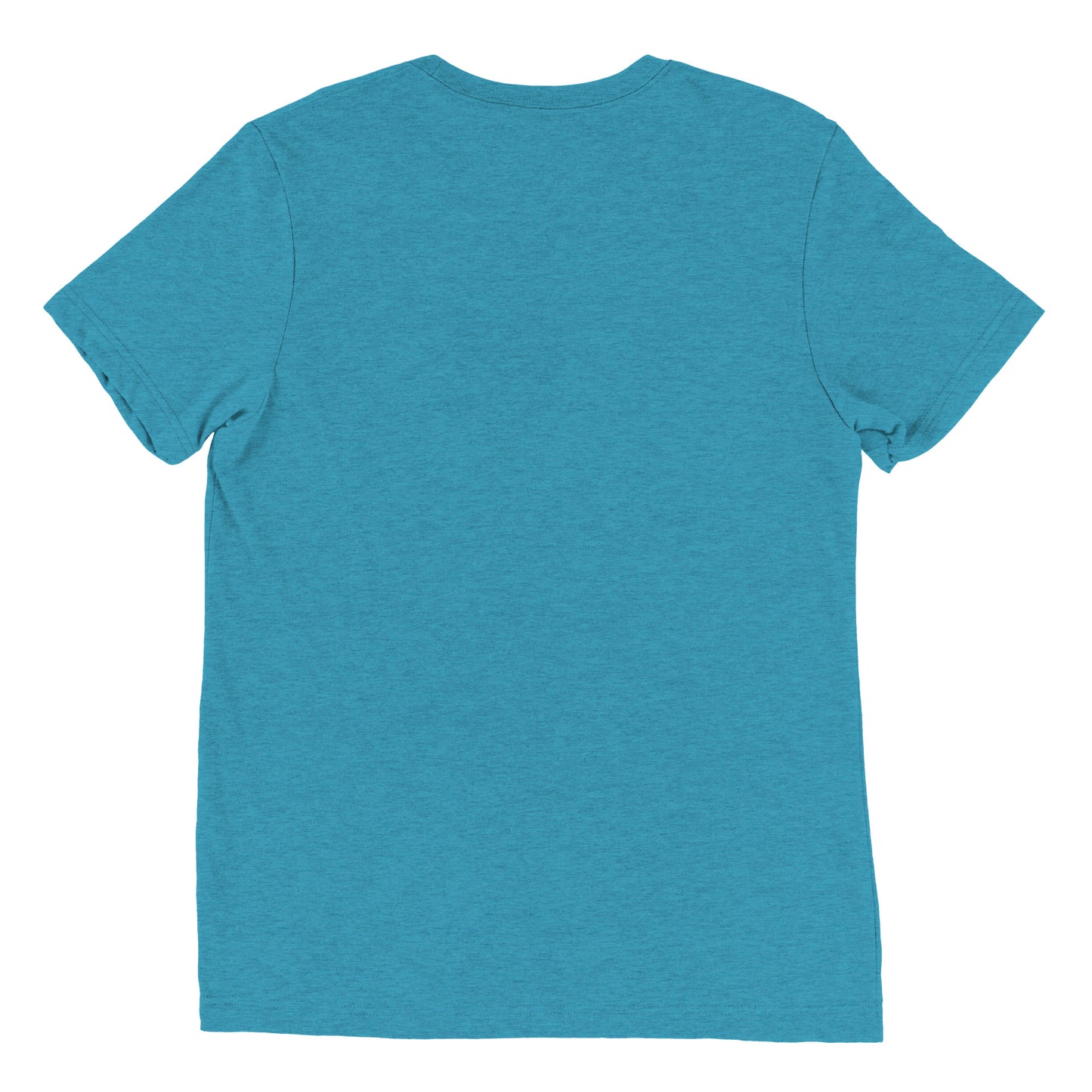 A Wizard Prints men's graphic rebel t-shirt in aqua plain back view