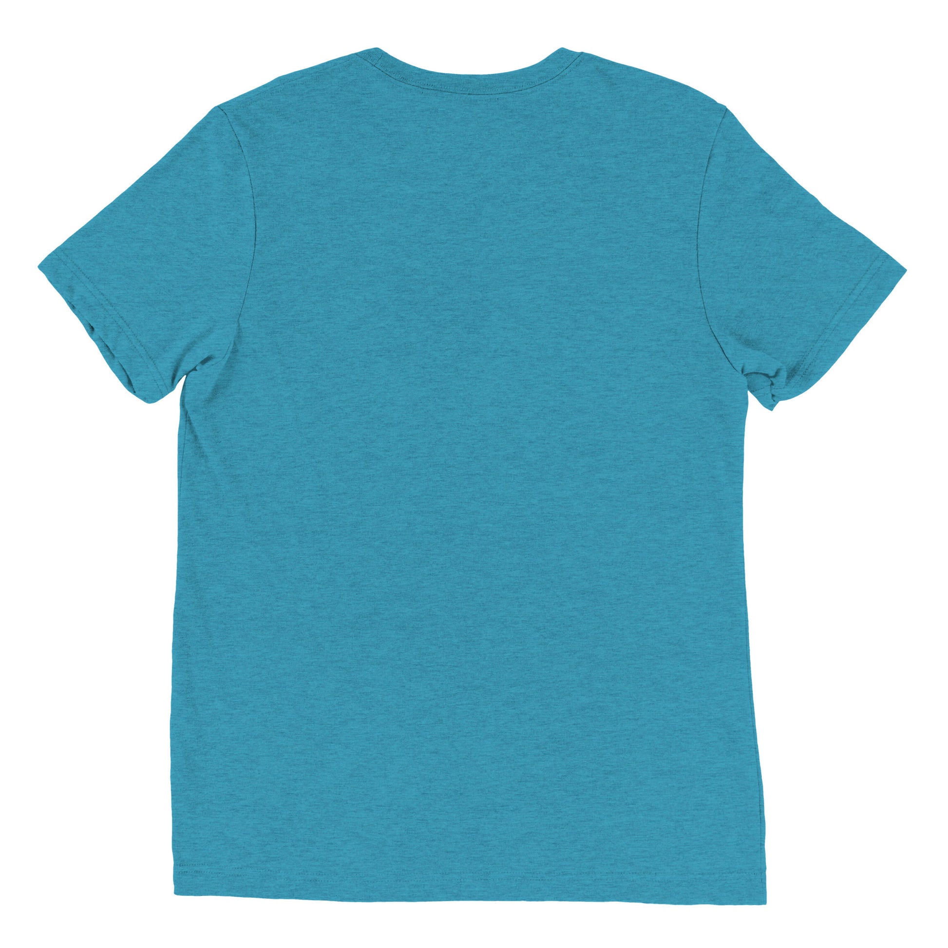 A Wizard Prints men's graphic rebel t-shirt in aqua plain back view