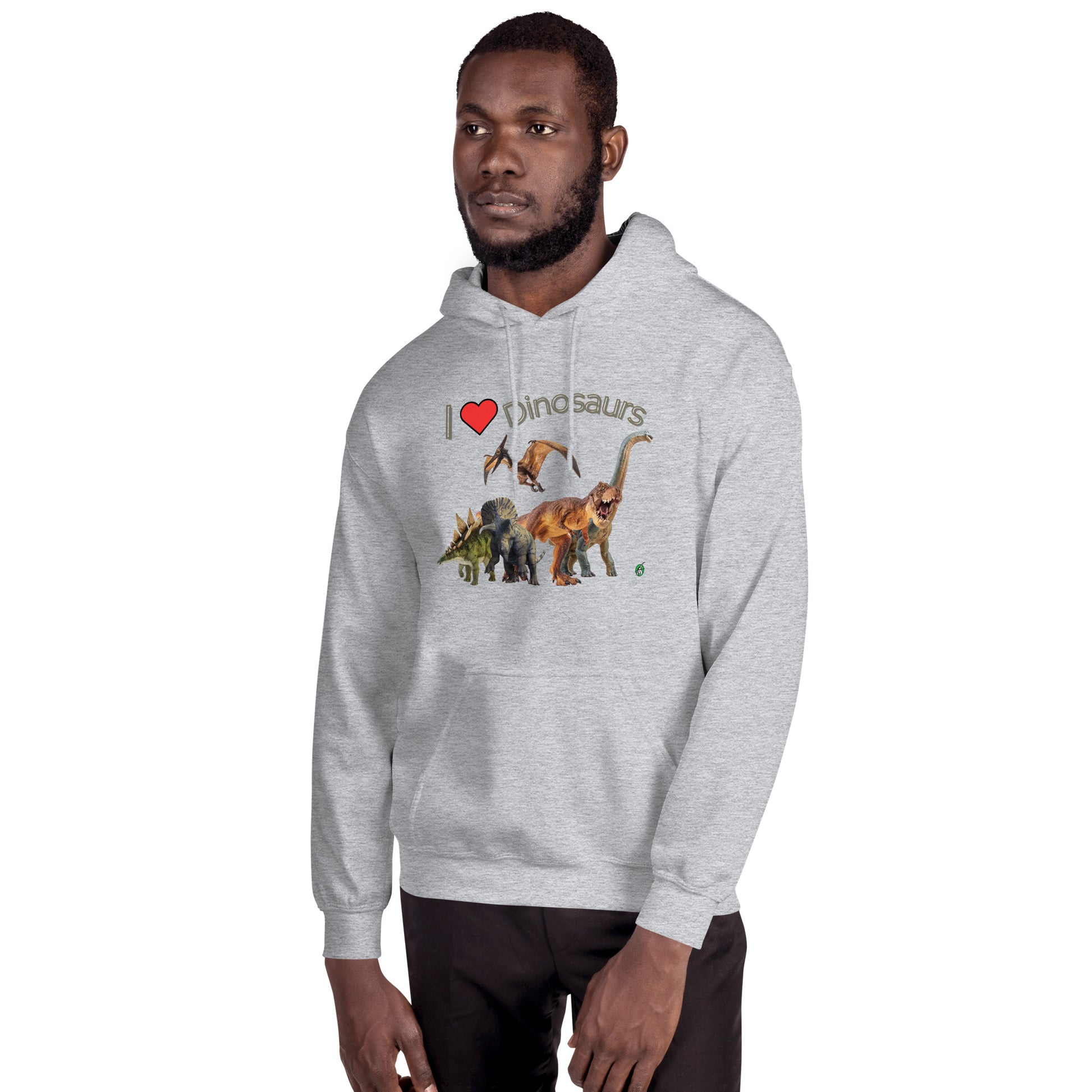 A man standing wearing a grey hoodie with a printed graphic of life like dinosaurs and the statement, I love Dinosaurs. Designed by Wizard Prints.