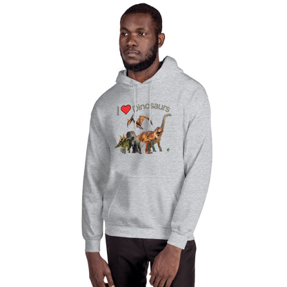 A man standing wearing a grey hoodie with a printed graphic of life like dinosaurs and the statement, I love Dinosaurs. Designed by Wizard Prints.