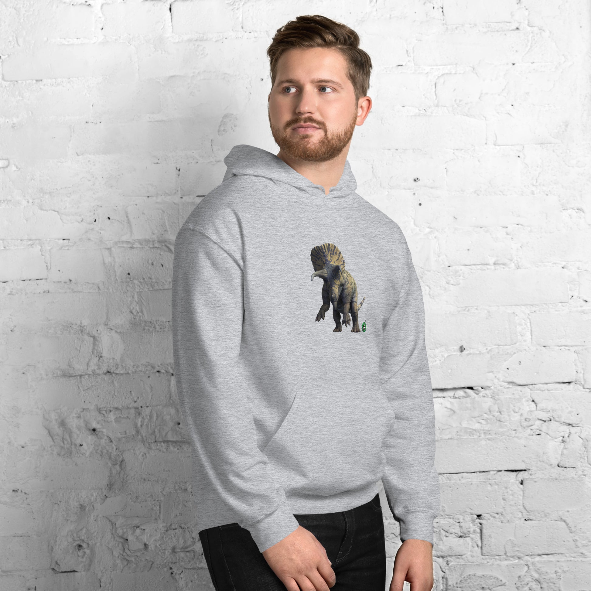 A man standing wearing a grey hoodie with a printed graphic of a life like dinosaur. Designed by Wizard Prints.