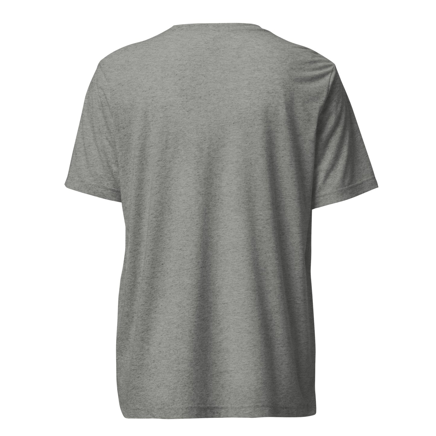 Back view of a men's grey t-shirt by Wizard Prints Shop