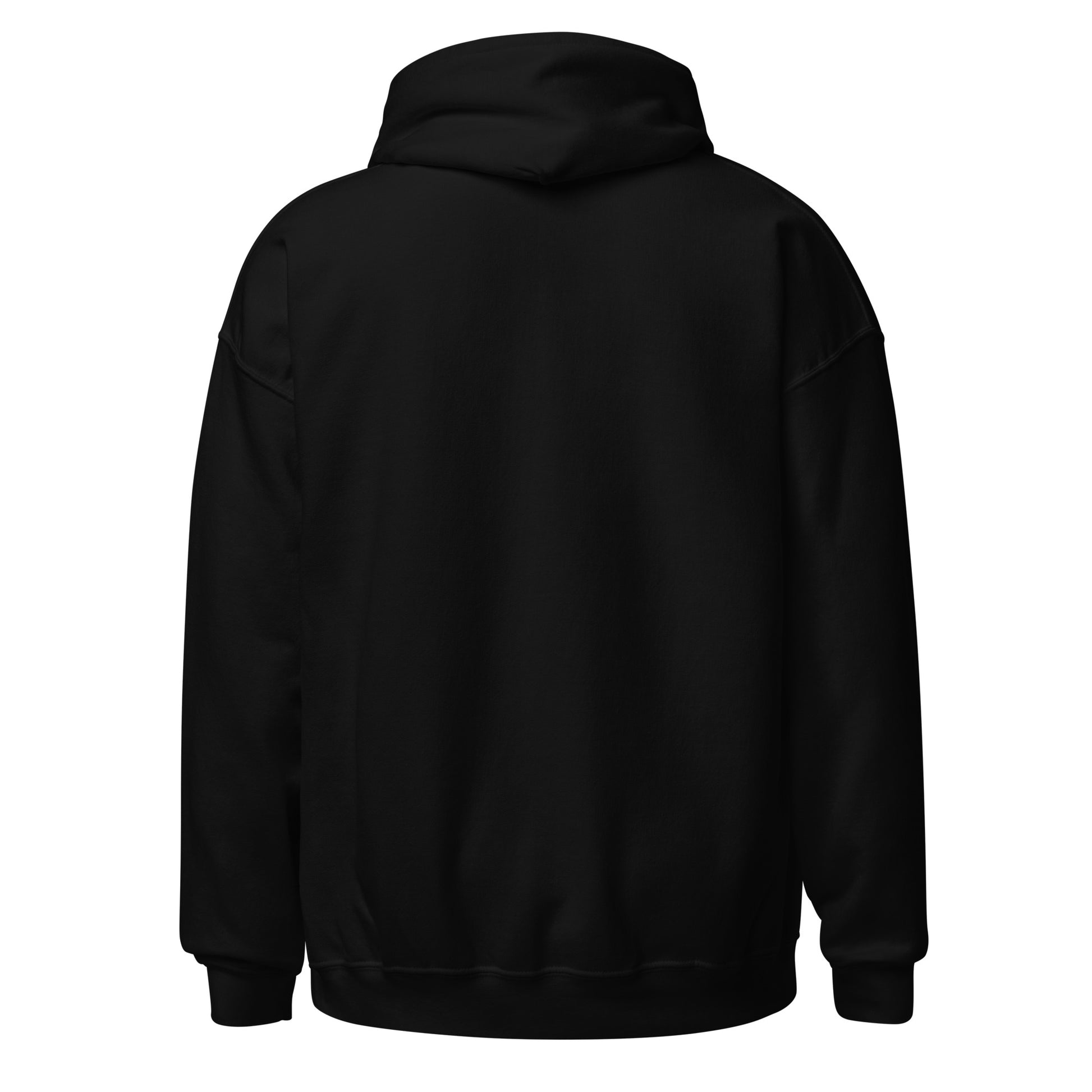 Back view of a men's black hoodie by Wizard Prints Shop
