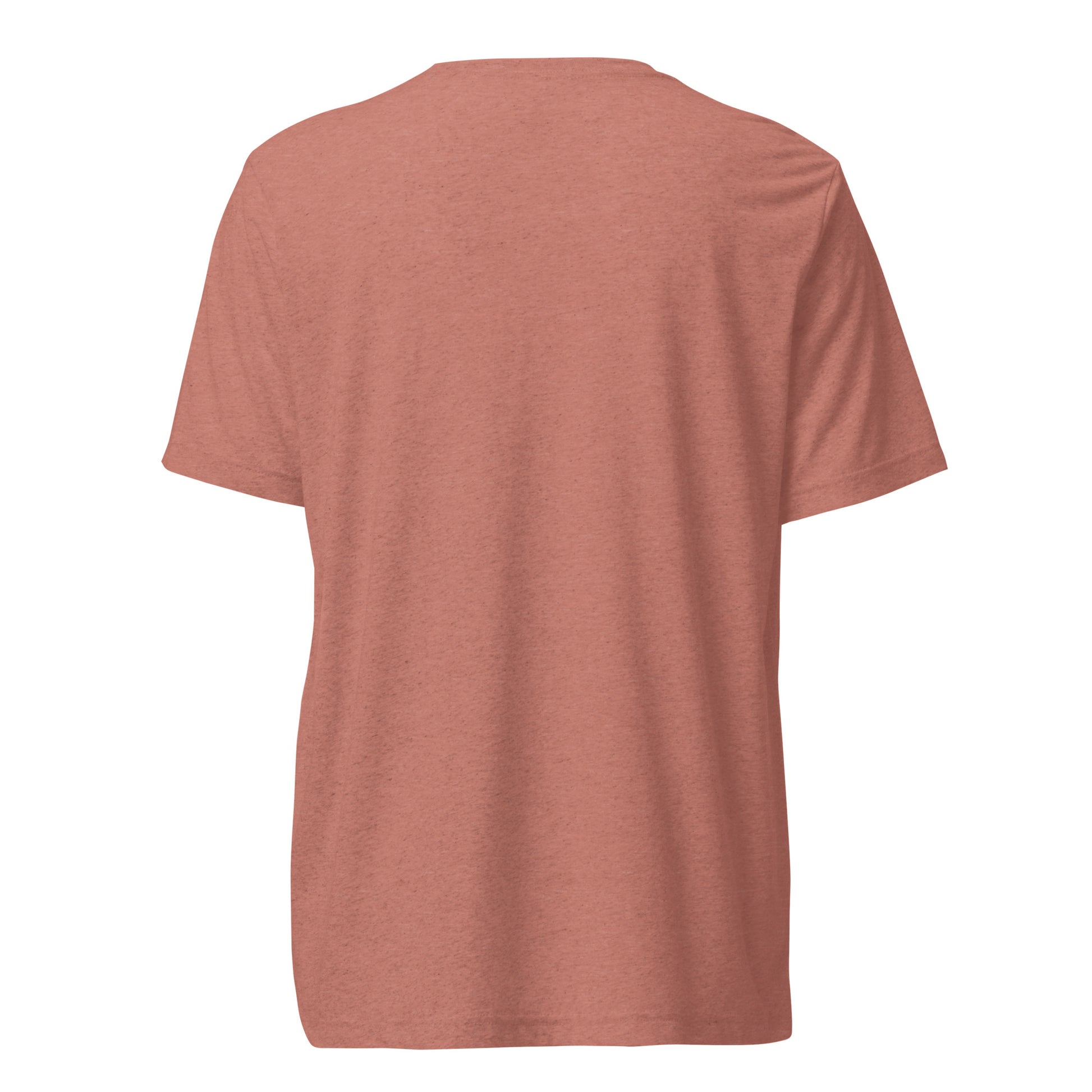 Back view of a men's mauve t-shirt by Wizard Prints Shop