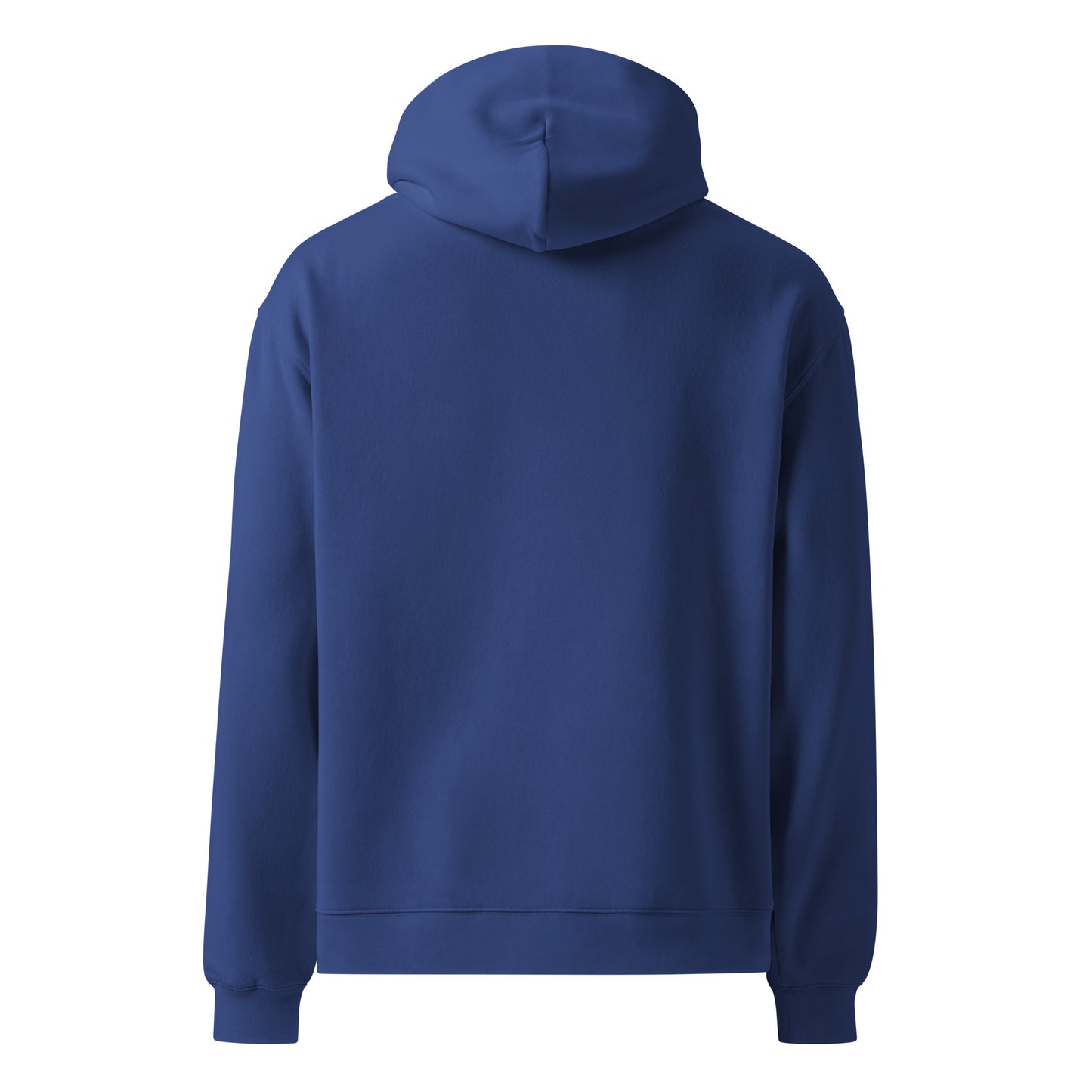 Back view of a unisex blue hoodie by Wizard Prints Shop
