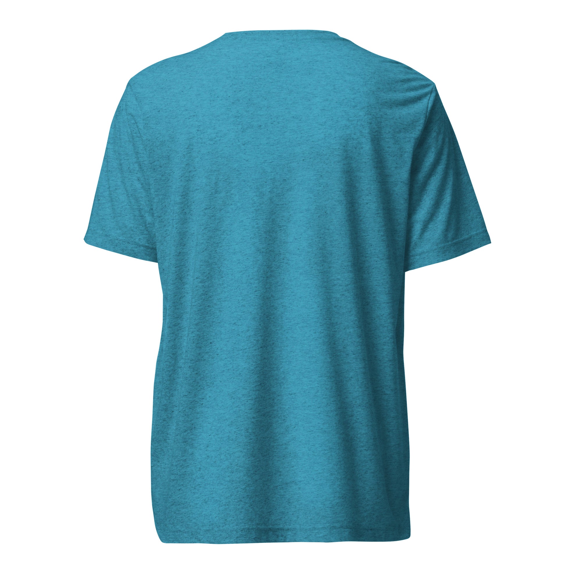 Back view of a women's aqua blue t-shirt by Wizard Prints Shop