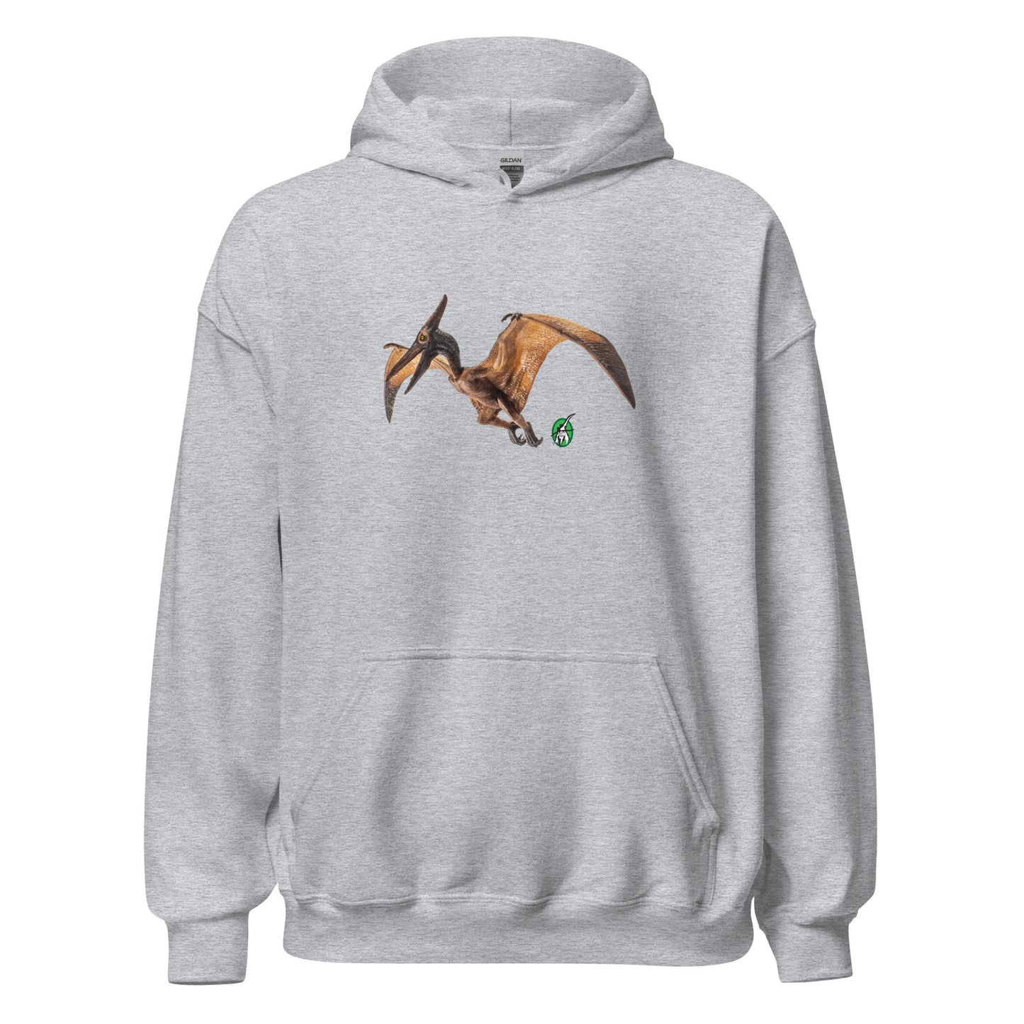 Women's grey hoodie with a printed graphic of a life like pterodactyl dinosaur. Designed by Wizard Prints.