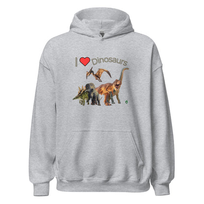 Women's grey hoodie with the printed graphic of life like dinosaurs and the words I love Dinosaurs, by Wizard Prints.