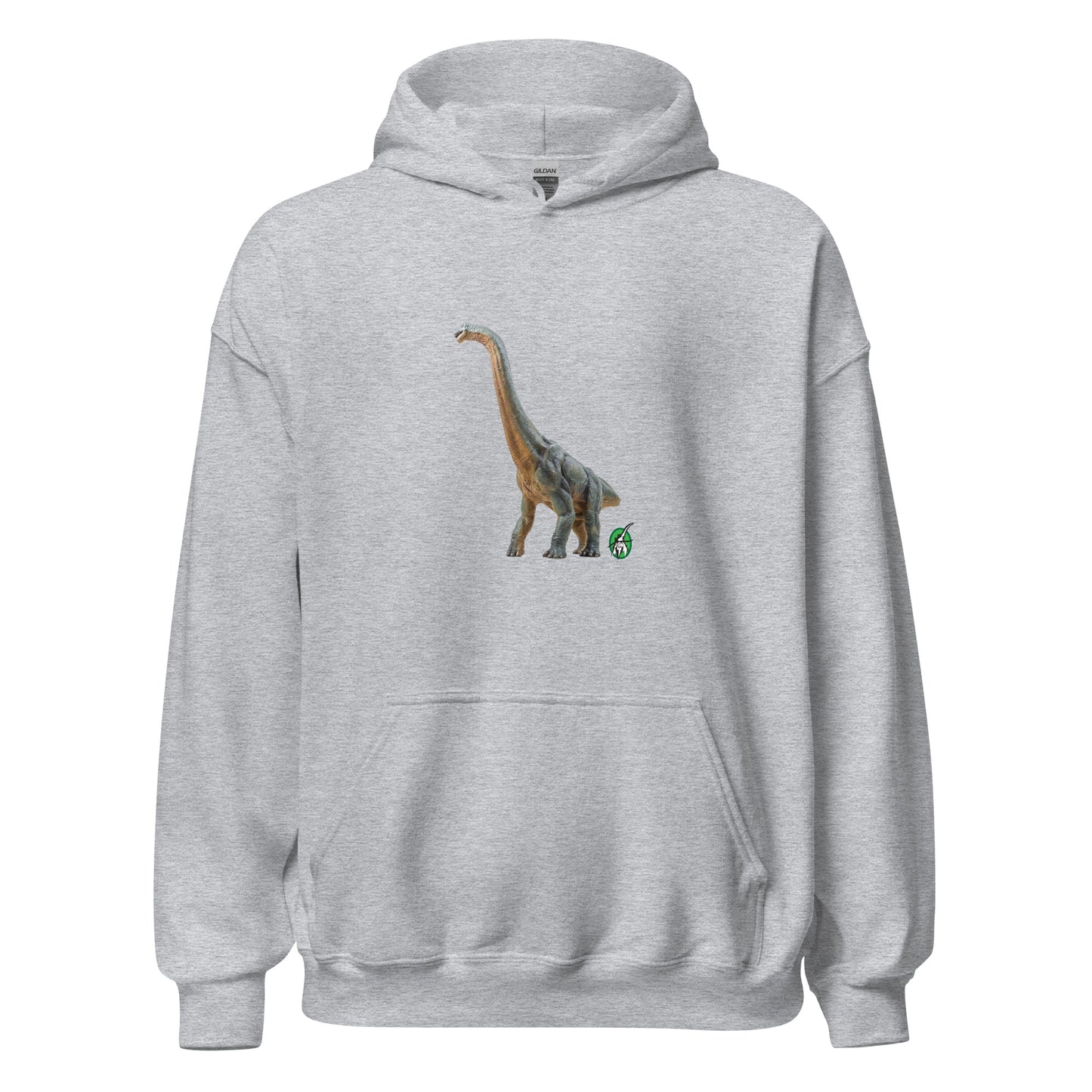 Women's grey hoodie with a printed graphic of a life like dinosaur, designed by Wizard Prints