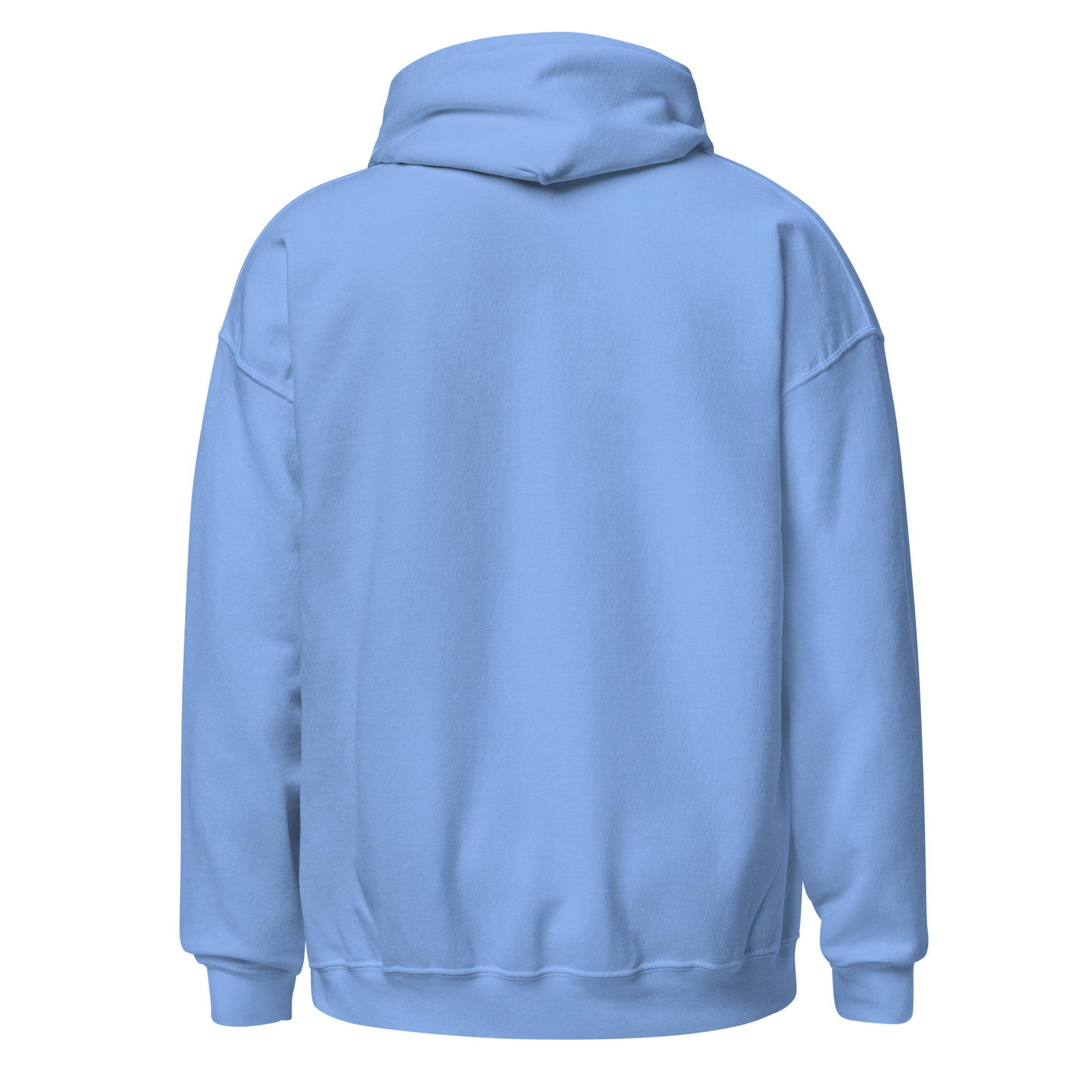 Back view of a women's light blue hoodie by Wizard Prints Shop