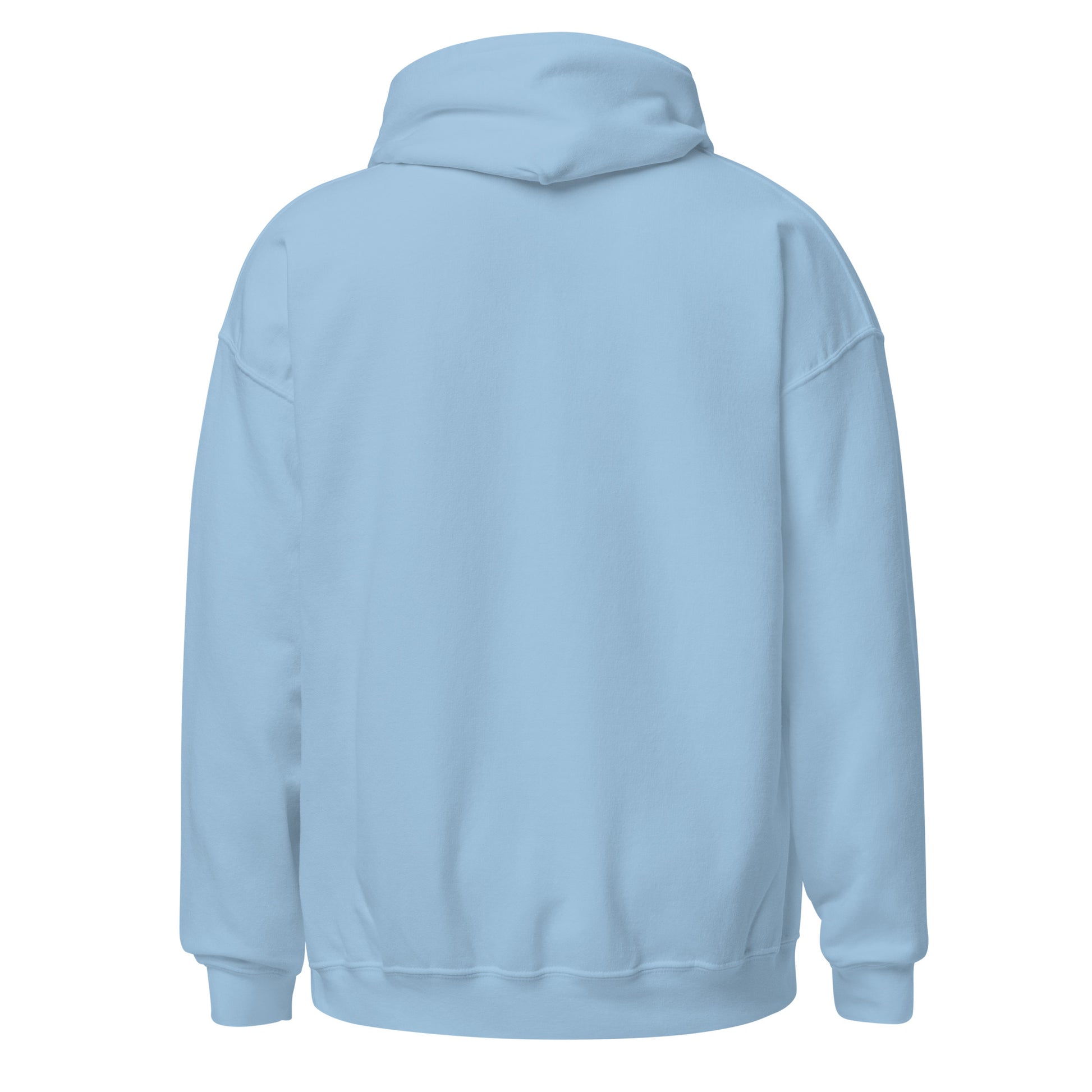 Back view of a women's light blue hoodie by Wizard Prints Shop